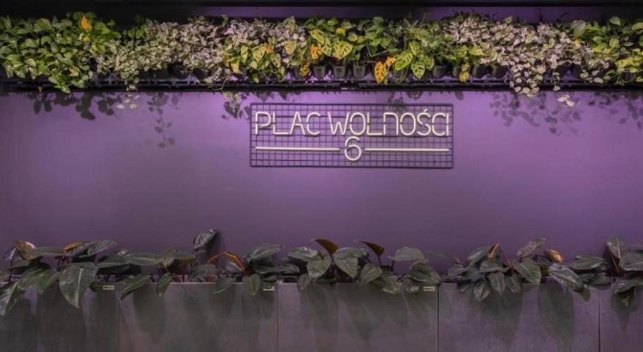 Blue Plac Wolnosci 6